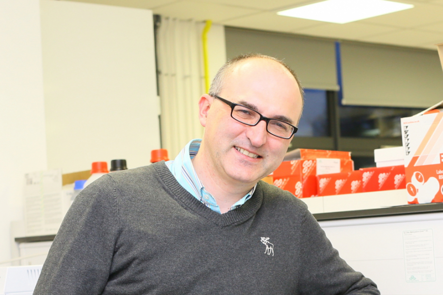 Mario Siervo profile photo